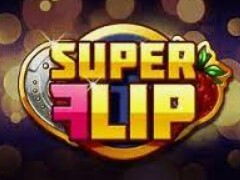 Игровой автомат Super Flip (Супер Флип, Суперзамена) играть бесплатно в казино Вулкан Платинум